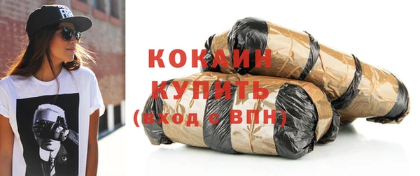 таблы Гусев