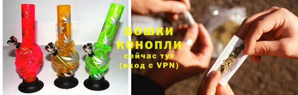 таблы Гусев