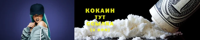 таблы Гусев