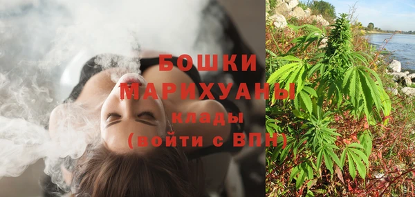 метадон Гусь-Хрустальный