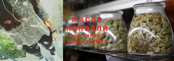 таблы Гусев