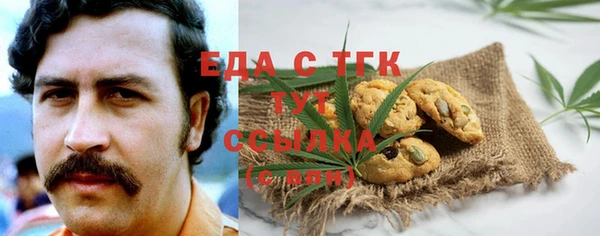 таблы Гусев