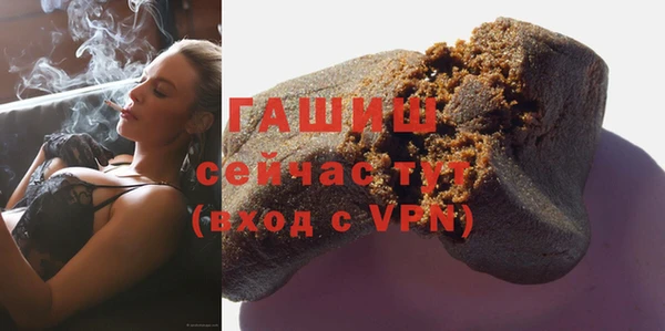 таблы Гусев